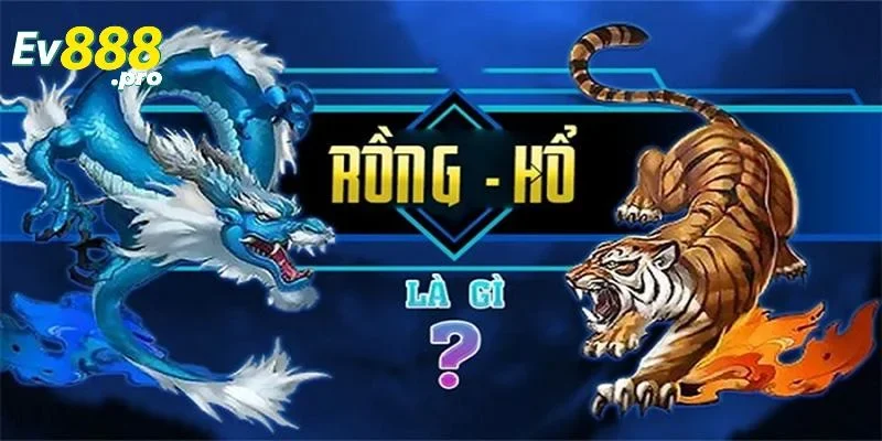 Mẹo chơi rồng hổ và những nguyên tắc cơ bản