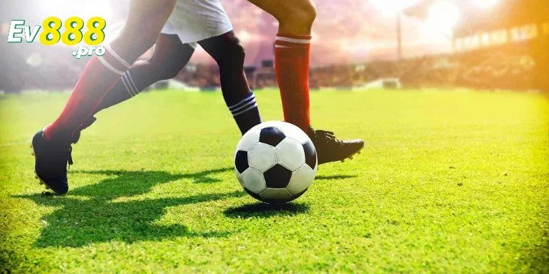 Vì sao chọn Saba thể thao làm sân chơi lý tưởng