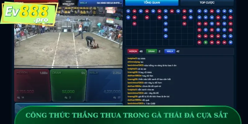 Công thức thắng thua trong một trận gà Thái đá cựa sắt