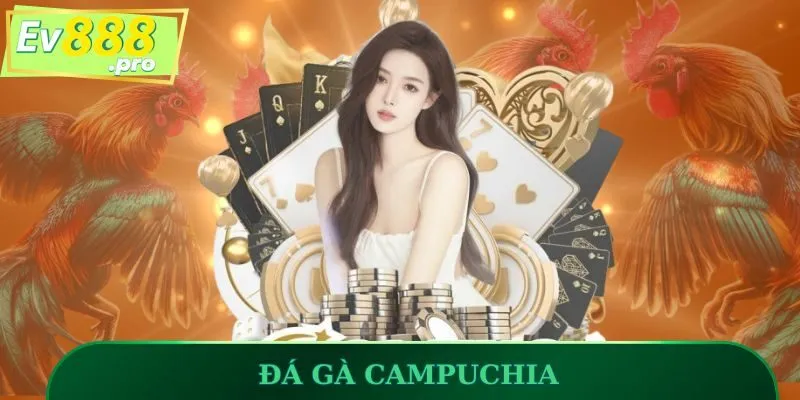 Đá gà Campuchia