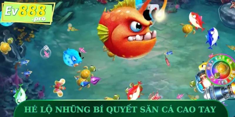 Hé lộ những bí quyết săn cá cao tay nhất