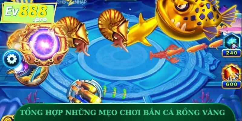 Tổng hợp những mẹo chơi Bắn Cá Rồng Vàng